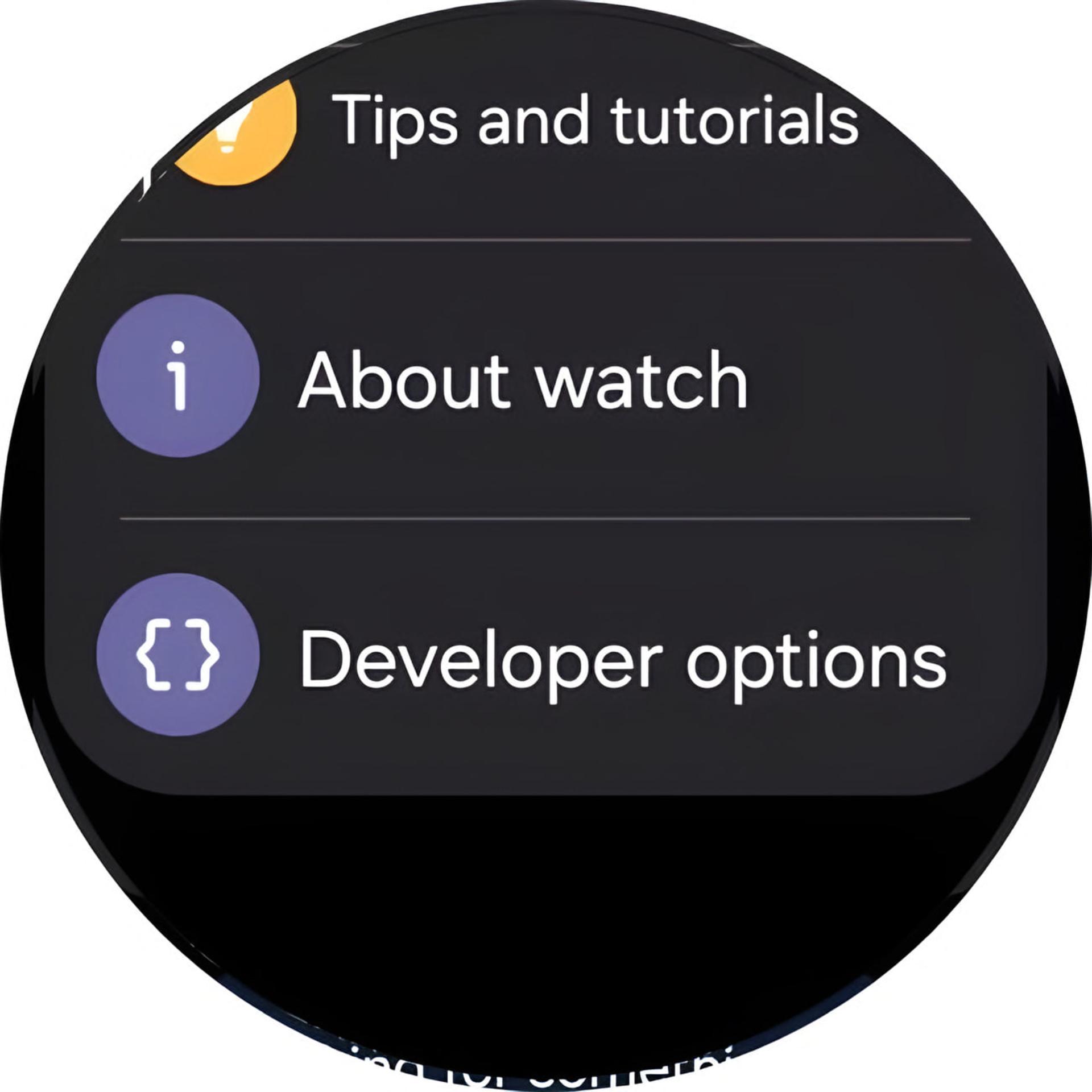 منوی Developer options در تنظیمات گلکسی واچ
