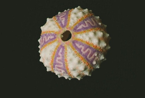 1521122546.jpg